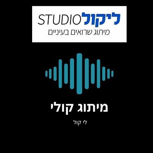 מיתוג קולי