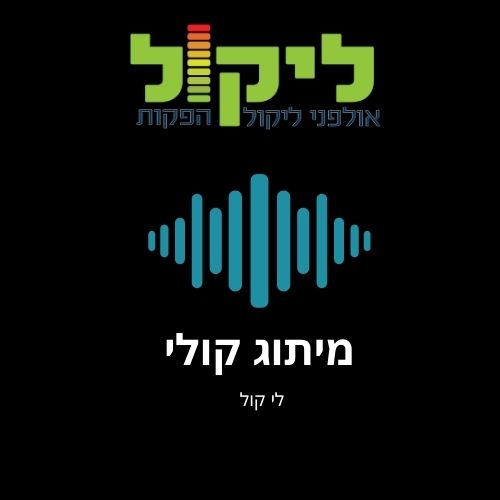 מיתוג קולי